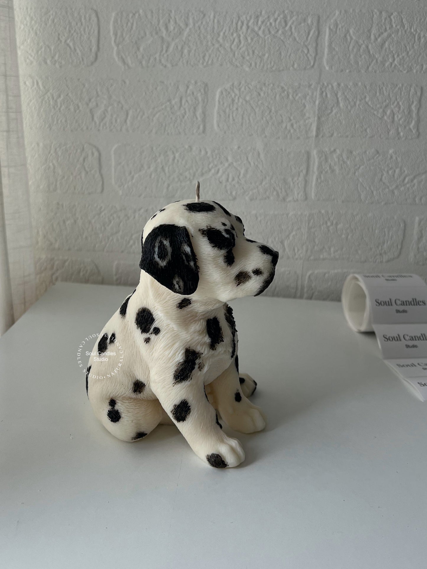 Dalmatiner Kerze