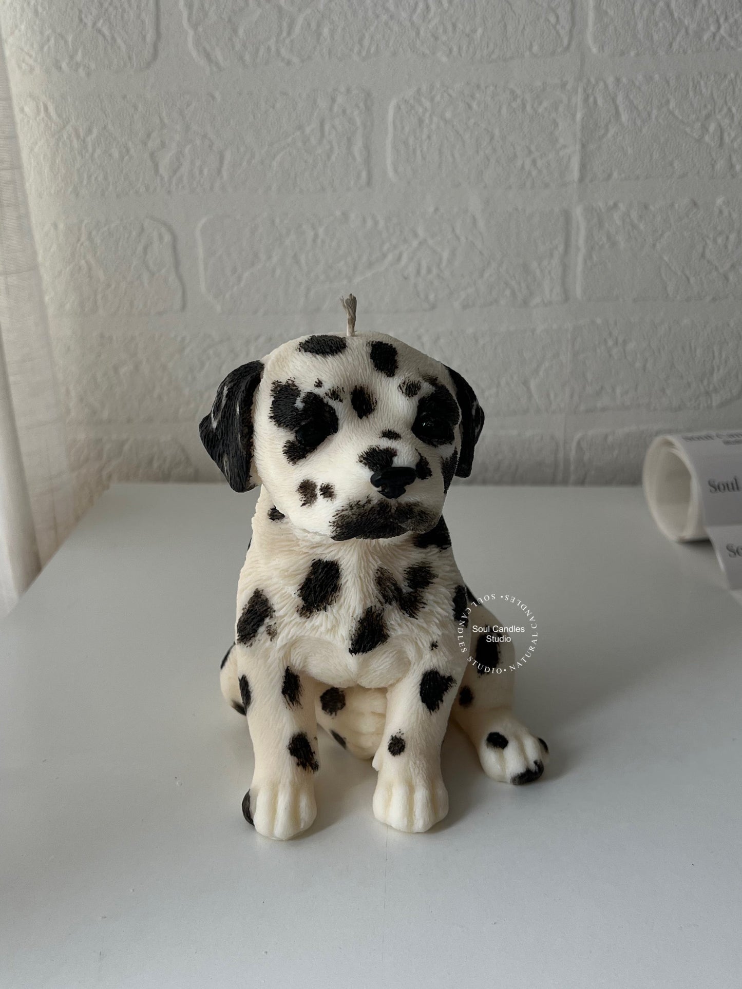 Dalmatiner Kerze