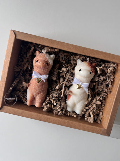 Alpaka Geschenkbox