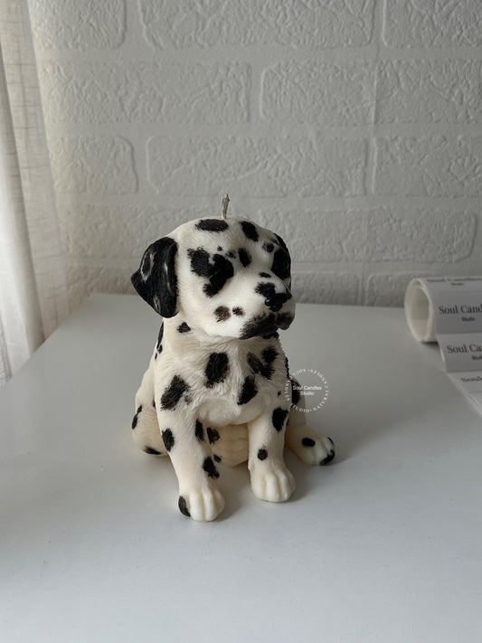 Dalmatiner Kerze