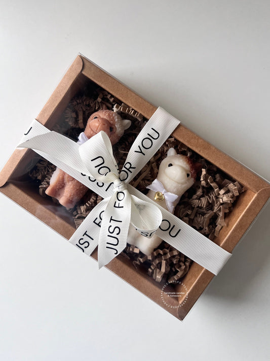 Alpaka Geschenkbox