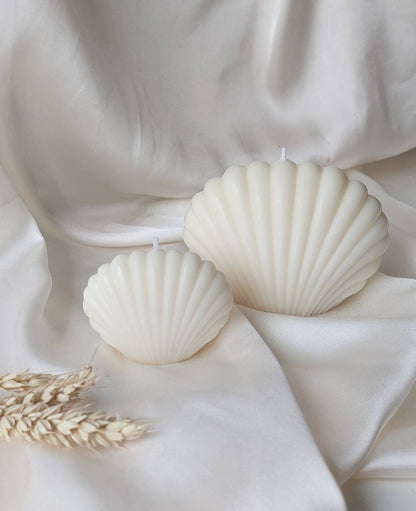 Muschelkerze