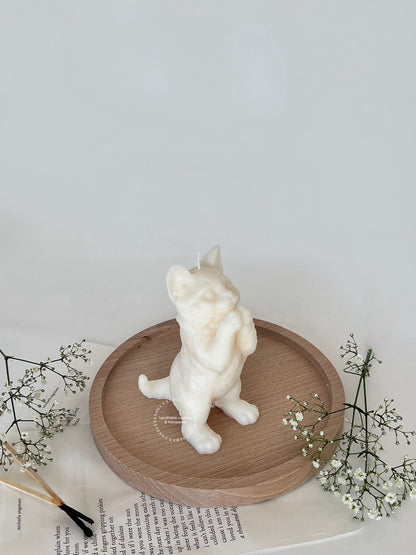 Katzenkerze
